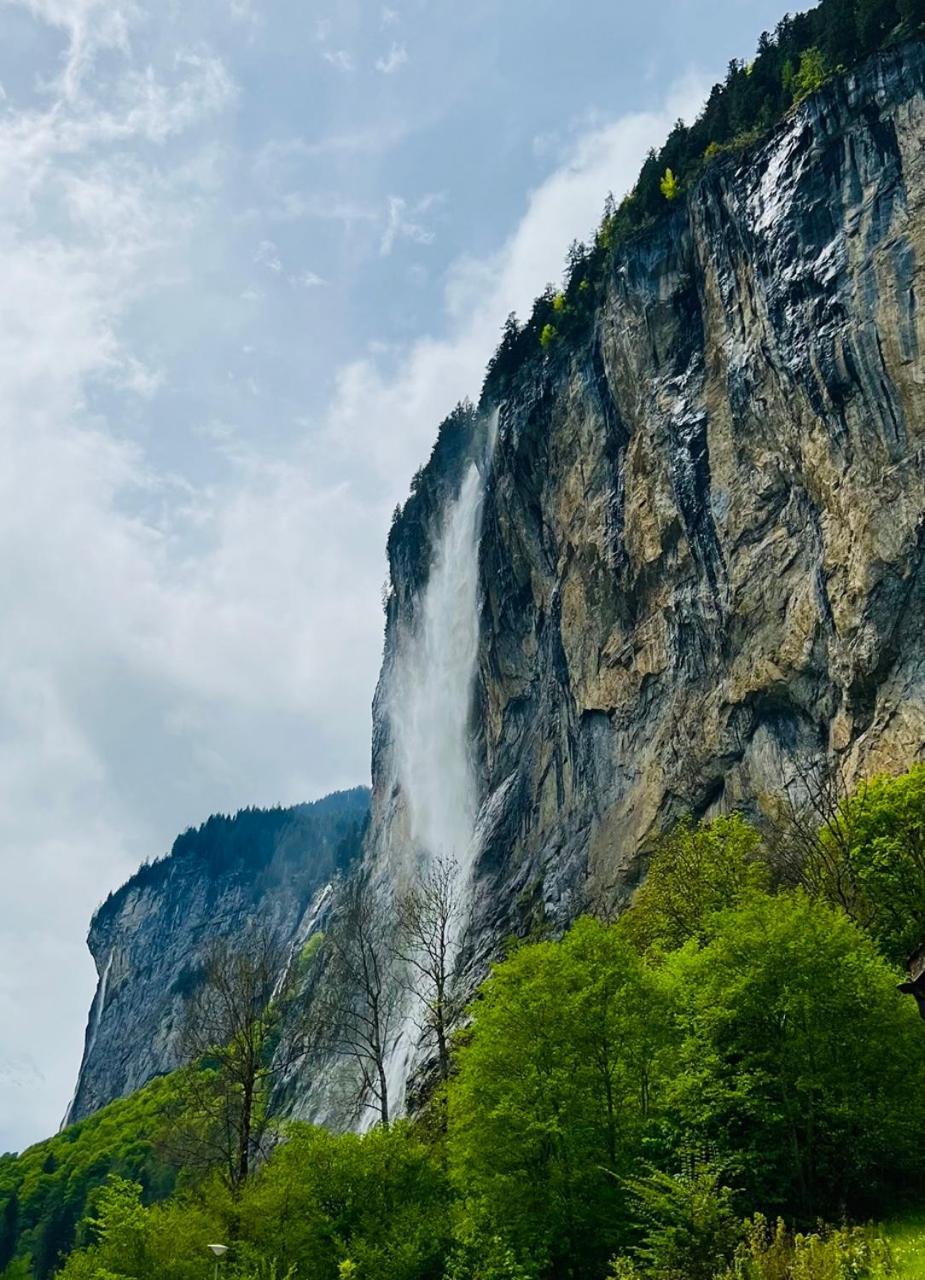 Rosa * Lauterbrunnen